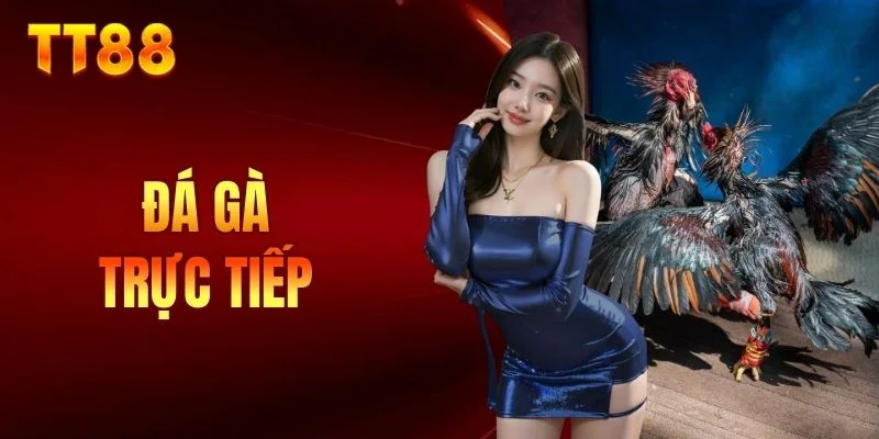 đá gà trực tiếp