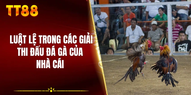 Luật lệ trong các giải thi đấu đá gà của nhà cái 