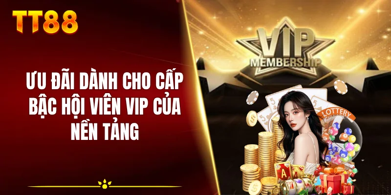 Ưu đãi dành cho cấp bậc hội viên VIP của nền tảng